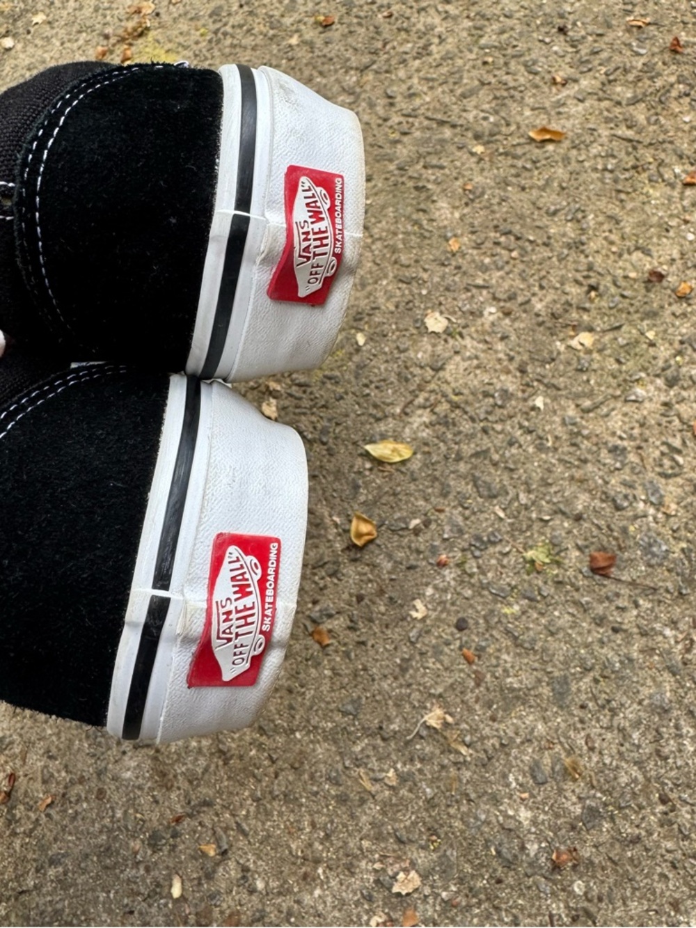 Vans Skate Old Skool Skate Shoe - Black - Picture 6 of 10